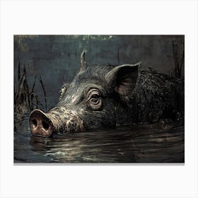 Pig In Water 1 Canvas Print