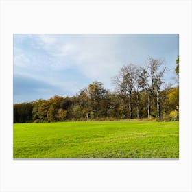 Autumn Trees In A Field Canvas Print