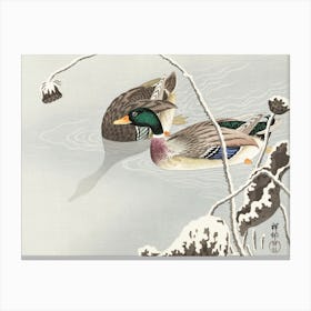 Two Mallards Near A Snow Covered Lotus, Ohara Koson Canvas Print