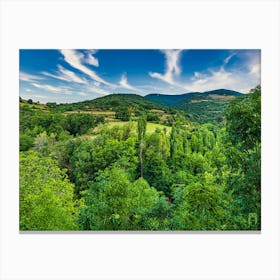 Green Valley With Trees 20230816095782rt1pub Canvas Print