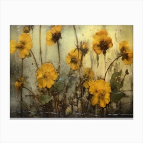 Delicate Flowers - Yellow Poppies Canvas Print