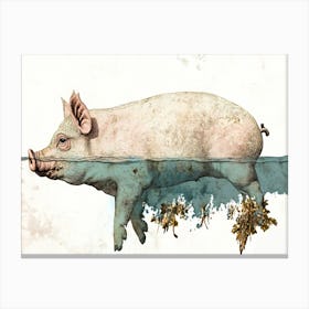 Pig In Water Canvas Print