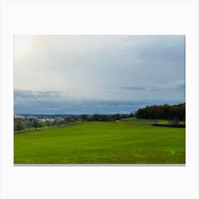 Dog In A Field Canvas Print