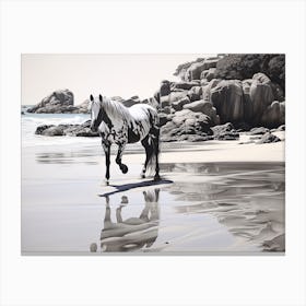 A Horse Oil Painting In Boulders Beach, South Africa, Landscape 1 Canvas Print