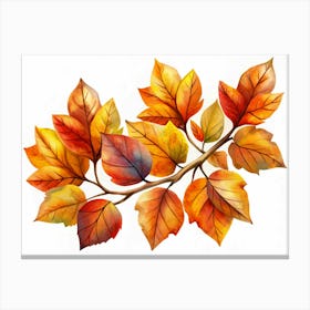 Watercolor Painting Of Autumn Leaves On A Branch Canvas Print