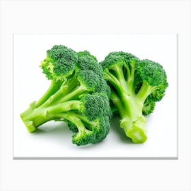 Broccoli 8 Canvas Print