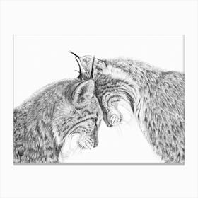 2 Lynx In Love Black And White Canvas Print