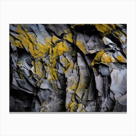 Yellow Lichen On A Rock Canvas Print