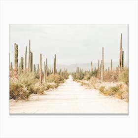 Deserted Road Canvas Print