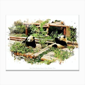 Giant Panda Breeding Research Base, Chengdu, China Canvas Print