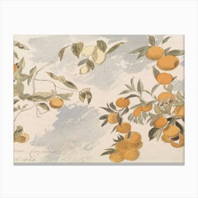 Oranges On A Tree Canvas Print