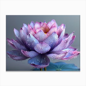 Lotus Flower 77 Canvas Print