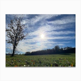 Field With Trees Canvas Print