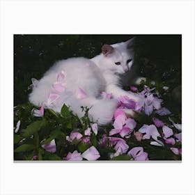 White Cat With Roses Canvas Print