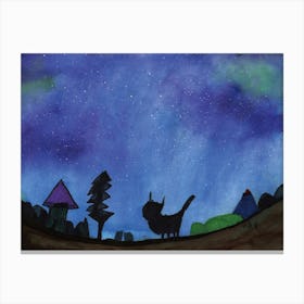 During The Night drawn by Little Artist O.D.R Canvas Print