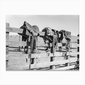 Saddles On Fence, Western Aesthetic, Vintage Black and White Old Photo 1 Canvas Print