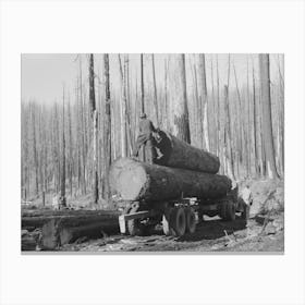 Loading Logs Onto Truck, Tillamook County, Oregon By Russell Lee 1 Canvas Print