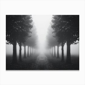 Foggy Path 3 Canvas Print