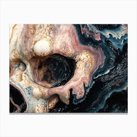 Skull Of A Stone Age Man Canvas Print