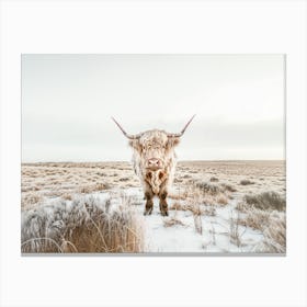 Highland Cow Snowy Field Winter Nature Photography Canvas Print