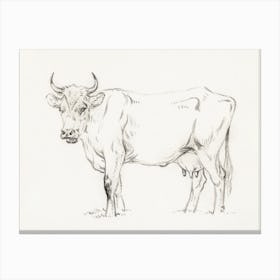 Standing Cow 3, Jean Bernard Canvas Print
