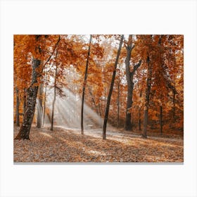 Red Forest Leaves Canvas Print