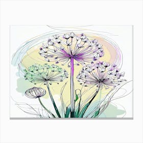 Allium 8 Canvas Print