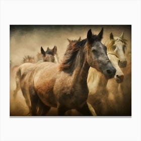 Herd Of Horses Canvas Print