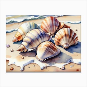 Seashells on the beach, watercolor painting 4 Canvas Print