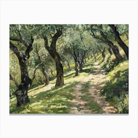 Olive Grove 2 Canvas Print