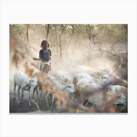 Girl With Her Goats Canvas Print