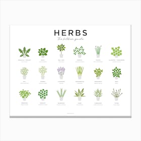 Herbs Guide Landscape Minimal Canvas Print