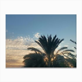 Sunset With Palm Trees Canvas Print