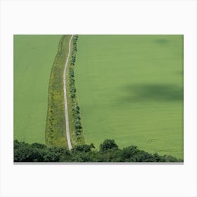 Aerial view of a path crossing green fields Canvas Print