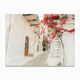 Little Street In Greece Canvas Print