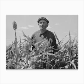 Untitled Photo, Possibly Related To Mr Wright, Tenant Farmer Of Mr, Johnson And In Cooperative With Him In Irrigatio 1 Canvas Print