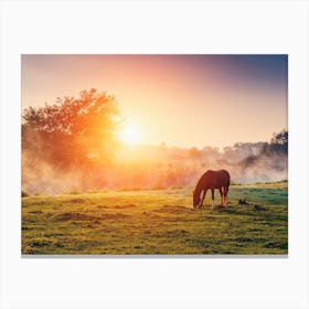 Horse Sunrise Canvas Print