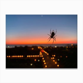 Spider At Dusk In Chicago 1 Canvas Print