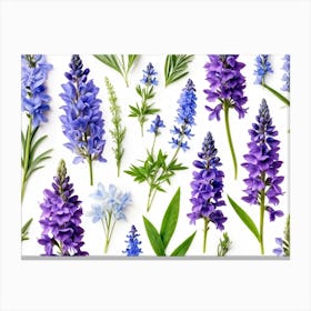 Nature Pattern Isolate White Arrangement Purple Flat Floral Blue Natural Herbal Medicine (1) 2 Canvas Print