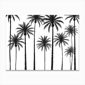 Silhouettes Of Palm Trees On White Background 2 Canvas Print