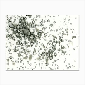 Gray Raindrops Canvas Print