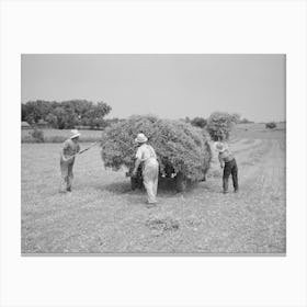 Loading Pea Vines On Truck, Sun Prairie, Wisconsin By Russell Lee Canvas Print