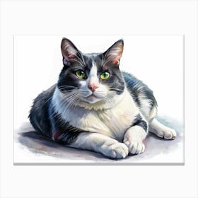 Watercolor Painting Of A Black And White Cat Lying Down Canvas Print