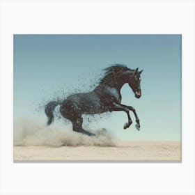 Black Horse In The Desert Canvas Print