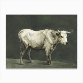 Standing Bull Painting, Jean Bernard Canvas Print