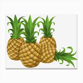 Pineapple Canvas Print