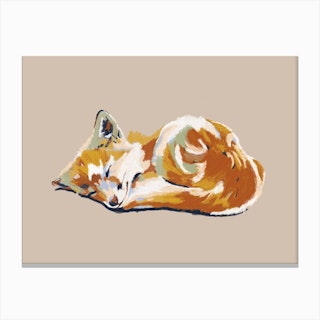Sleeping Little Fox Canvas Print
