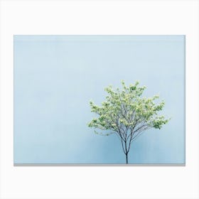 Lone Tree 4 Canvas Print