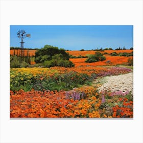 Namaqualand Flowers 1 40x30in 9600x7200px 19 Canvas Print