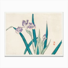 Irises, Kōno Bairei Canvas Print